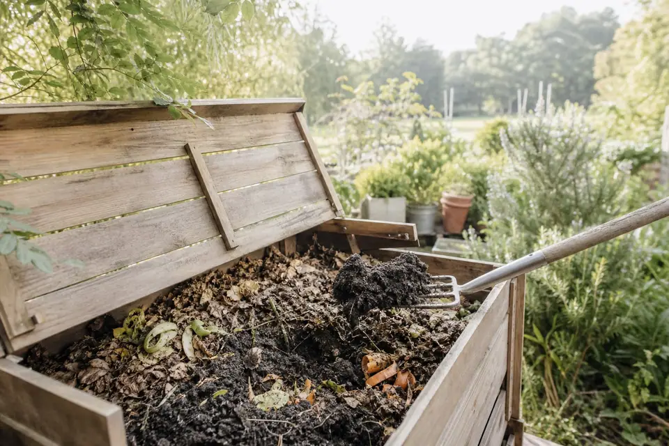 Compost mûr brun foncé et grumeleux dans un bac de jardin, fourche plantée à côté