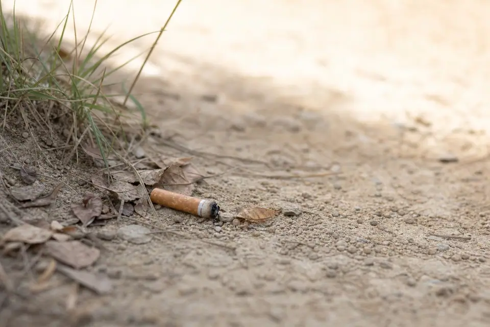 Mégots de cigarette accumulés sur un sol en pavés dans une rue française
