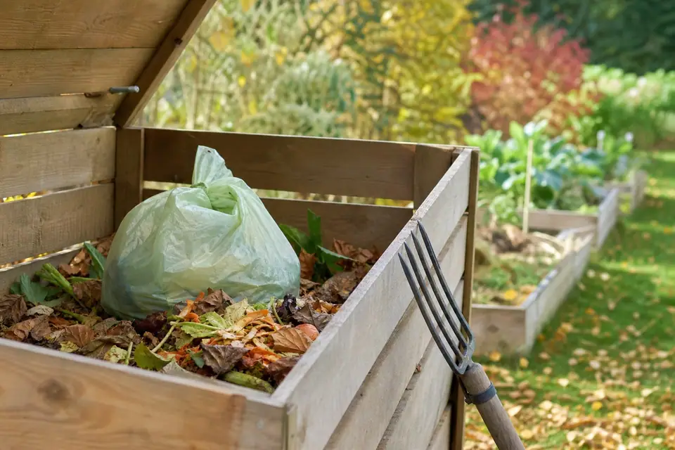 Composteur de jardin en bois ouvert laissant voir un sac compostable vert encore entier parmi les feuilles mortes